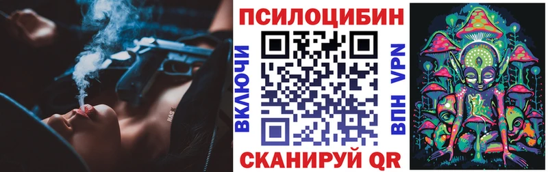 Псилоцибиновые грибы Magic Shrooms  где продают   Междуреченск 