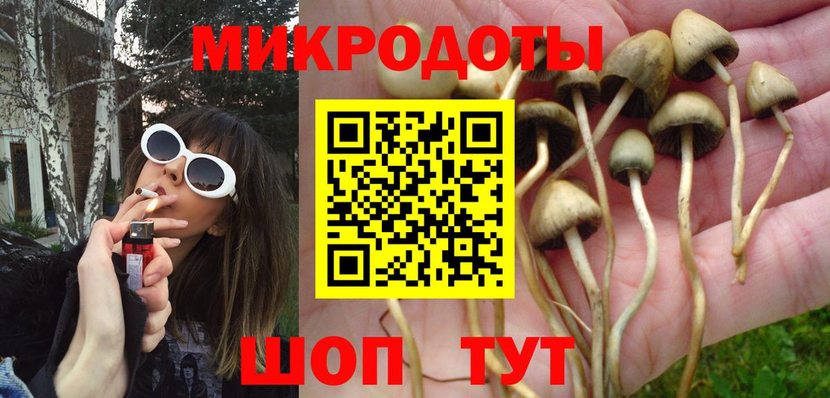 Междуреченск  Галлюциногенные грибы Cubensis  Вход с VPN 